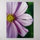 Recherche de papier déchiré posters Fleur