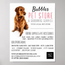 Suche nach groomer poster Tierpflege