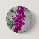 Suche nach rosa federn buttons Blume