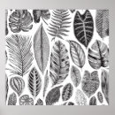 Recherche de motif noir posters Jungle