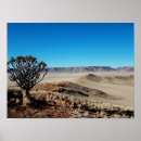 Suche nach namibia poster Wüste