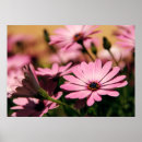 Recherche de aléatoire posters Décoration