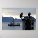 Suche nach alaska adler poster Berge