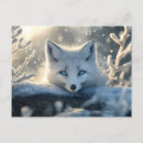 Recherche de renard blanc cartes postales Contenu générationnel