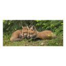 Recherche de copains art Animaux