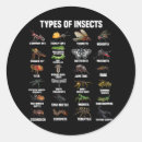 Recherche de entomologie autocollants Bogue