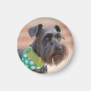 Suche nach miniaturen magnete Schnauzer