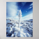 Suche nach staat kalifornien poster California