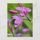 Suche nach urne postkarten Blume