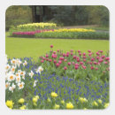 Suche nach keukenhof aufkleber Daffodil