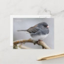 Suche nach mit augen postkarten Naturfotografie