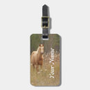 Recherche de poulain accessoires Photographie