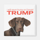 Suche nach geschäfte magnete Trumpf
