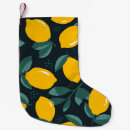 Recherche de citron chaussette de noël Illustration