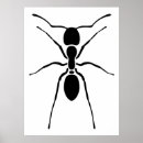 Suche nach ameisen poster Entomologie