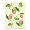 Recherche de cuisine moderne posters Fruits