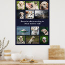 Suche nach hunde zitat poster Für haustiere