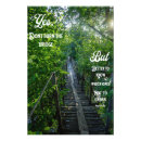 Suche nach natur fotos poster Bäume