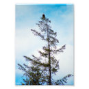 Recherche de aigle chauve art Arbre