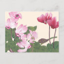 Recherche de blocs cartes postales Pour elle
