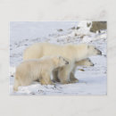 Suche nach rebecca poster Mutter