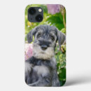 Recherche de taille standard iphone coques Chiot