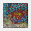 Recherche de poissons magnets Pour tous