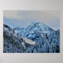 Suche nach winter poster Natur