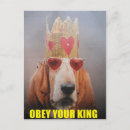 Recherche de limier cartes postales Basset