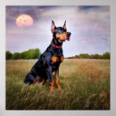 Suche nach pinscher poster Haustiere