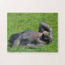 Suche nach schimpansen puzzle Natur