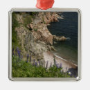 Recherche de bretons ornements Vue