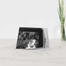 Suche nach kein entschuldigungst kleine grußkarten Spaß