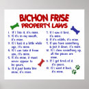 Suche nach bichon frises poster Niedlich