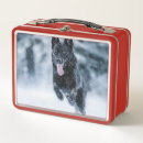 Suche nach schwarzer hund brotdosen Wolf