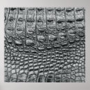 Suche nach krokodile poster Leder