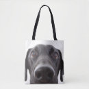 Suche nach schwarzer labrador welpe taschen Haustier