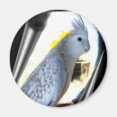 Recherche de carreaux magnets Animaux