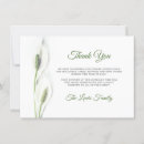 Recherche de calla lilly vœux cartes Sympathie