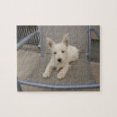 Recherche de chien blanc puzzles Chiot