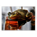 Suche nach lustige kröten postkarten Natur