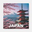 Suche nach fuji magnete Reise