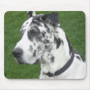 Suche nach dan mousepads Great dane