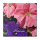 Suche nach petunien fliesen Blume