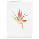 Recherche de bird of paradise Aquarelle florale