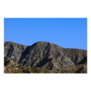 Recherche de ours kodak Californie