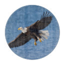 Recherche de rapace planches à découper Animal