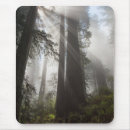 Suche nach mammutbaum mousepads Wälder