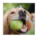 Suche nach tennisball fliesen Hund