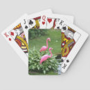 Suche nach rosa flamingos spielkarten Vogelvogel